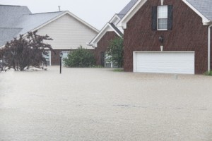 flood insurance basics